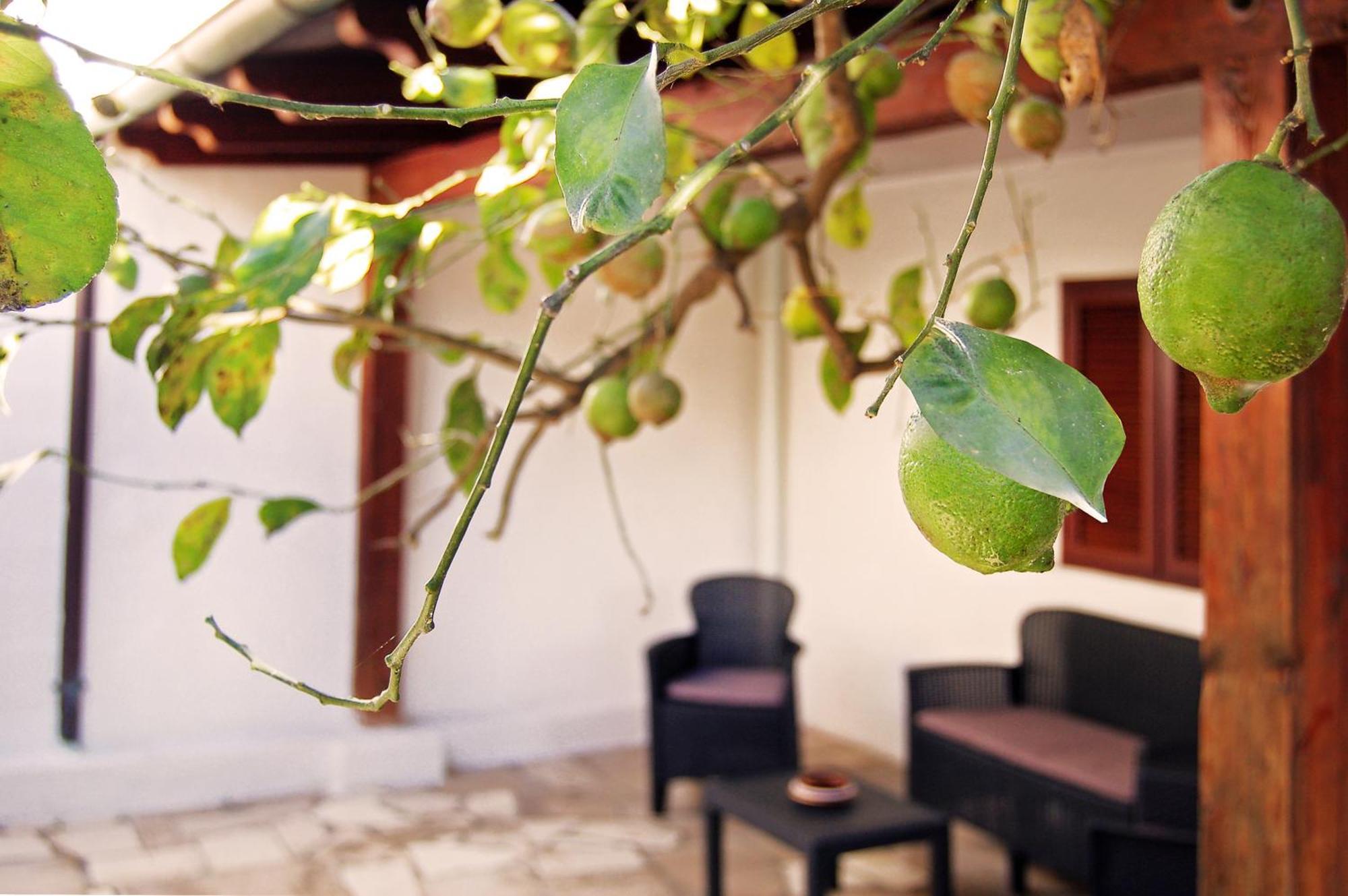 Sea Breeze Villa - Luna Apartment Bari Extérieur photo